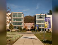 Pace University Others(2)