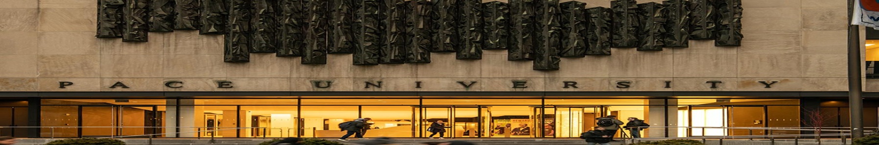 Pace University