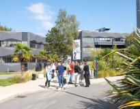 Rennes SB Others(8)