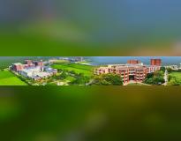 Sharda School of Business Studies Others(1)