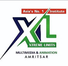 XL Multimedia and Animation Logo