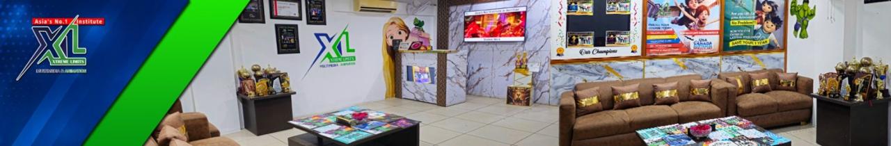 XL Multimedia and Animation