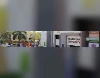 Online and Distance Learning, Silver Oak University Others