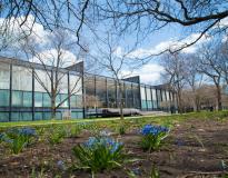 Illinois Tech Others(8)