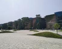 Lovely Professional University Powered by Emversity Campus View(1)