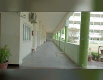 Chaitanya (Deemed to be University) Powered by NIAT Campus Building(3)