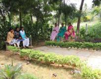 SRMTASC Campus View(2)