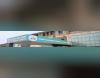 ASM Nextgen Technical Campus Others(1) ASM Nextgen Technical Campus Others(1)