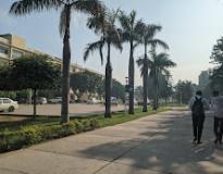 Skill College, Baddi University Campus View(1)