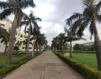 Skill College, Baddi University Campus View(2)