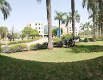 Skill College, Baddi University Campus View(4)