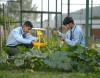GRD IMT Dehradun Labs(4) GRD IMT Dehradun Labs(4)