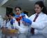 Lab