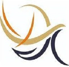 Datta Meghe Institute of Management Studies Logo