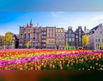 University of Applied Science Europe Amsterdam Others(2)