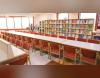 TIMT Library(2) TIMT Library(2)