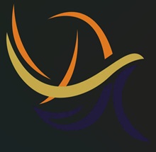 Datta Meghe Institute of Management Studies Logo
