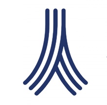 Paris School of Business Logo
