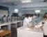 Lab