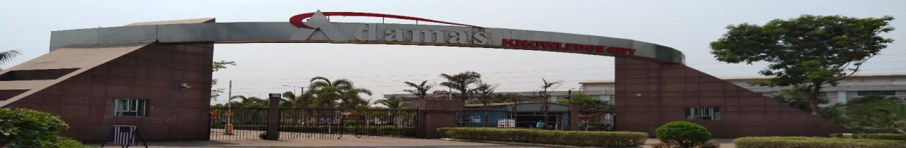 Adamas University
