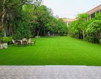 Purushottam Sriram Degree College Nandana Ghatampur, Kanpur Nagar Playground