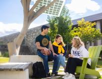 Pace University Others(5)