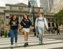 Pace University Others(12)