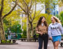 Pace University Others(13)
