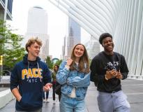 Pace University Others(20)