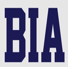 Boston Institute of Analytics- School of Technology and AI Logo