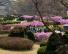 Spring of Ewha