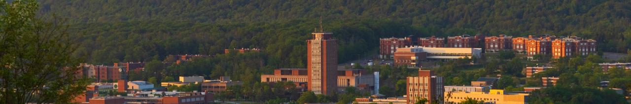 Binghamton University