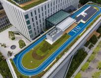 Tokyo International University Campus View