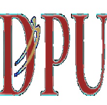 Dr. D. Y. Patil School of Science and Technology Logo