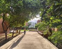 IMT Nagpur Others(2)