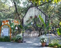 SpiritSoar Institute of Event Management Others(3)