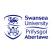 Institute Logo
