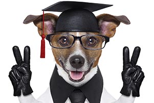 Top ten MBA myths BUSTED!