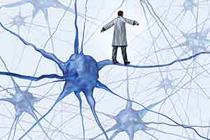 AIPMT 2014: Biology Preparation Tips