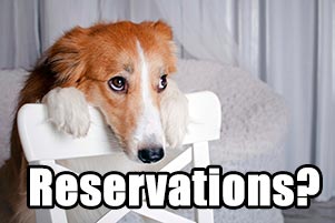 Engineering Colleges: Where are the girls?