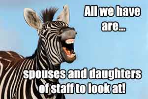 Engineering Colleges: Where are the girls?