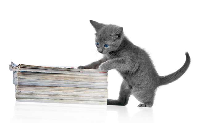 CAT 2014 prep: What all is covered in the exam?