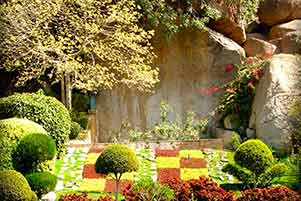 Beyond the syllabus: 12 amazing records where India holds the No 1 spot