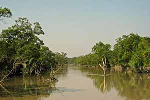 Beyond the syllabus: 12 amazing records where India holds the No 1 spot