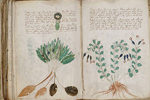 Beyond the Syllabus: Unsolved mysteries of the world