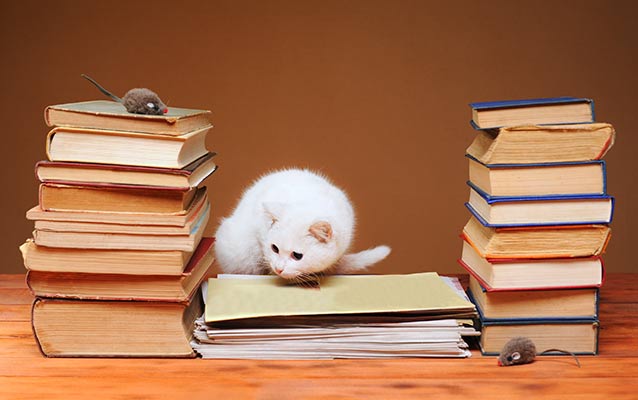 CAT 2014: New pattern, new strategies