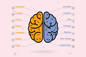 Beyond the Syllabus: 30 Amazing facts about your brain
