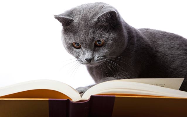 CAT Prep 2014: Decoding ratios & percentages