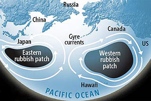 Beyond the Syllabus: 30 Facts you did not know about the Earth