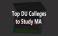 Top Colleges of DU for MA
